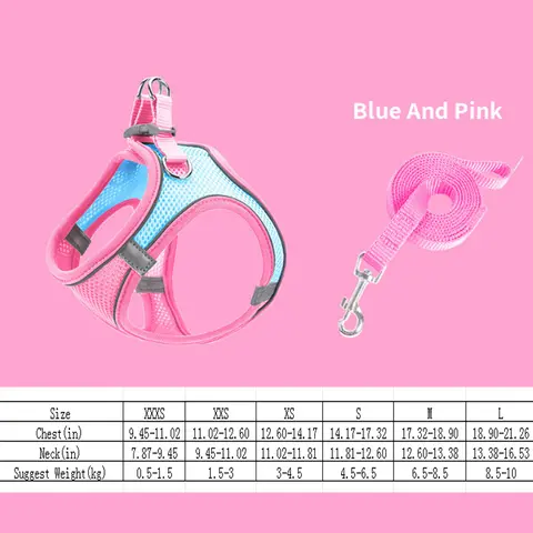 8 best sales bälte för katt - №1