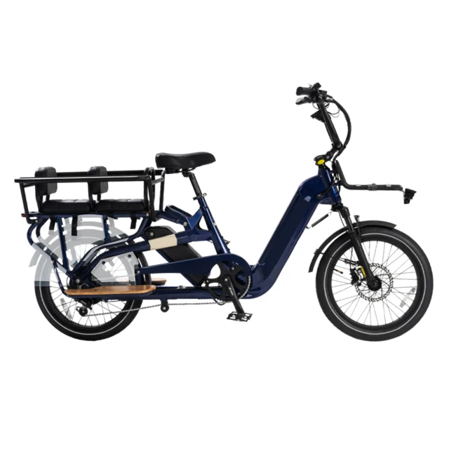 STLF 2025 المصنع المباشر OEM البضائع Ebike بالجملة سبيكة دراجات البضائع الكهربائية دراجة عجلتين الأسرة البضائع Ebike