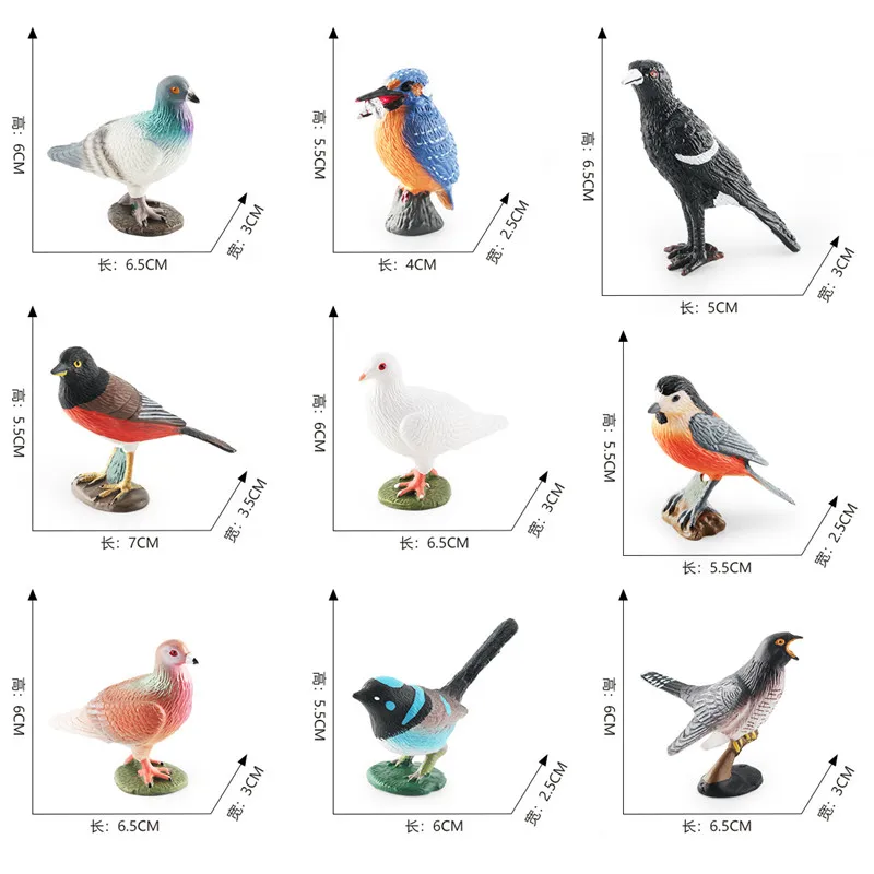 Nuova simulazione Solid Pigeon Wild Forest Zoo Animal Model figurine di uccelli educazione precoce giocattolo cognitivo animali per regalo per