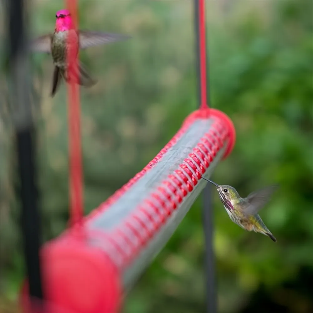 Leak Proof Hummingbird Feeder 3