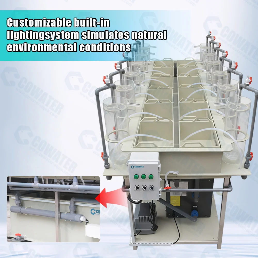 AIROW CW-FH-12 Food Grade PP Fish Eggs Incubator Hatching Jars for Maximizing Hatch Rates in Commercial Small Fish Hatchery
