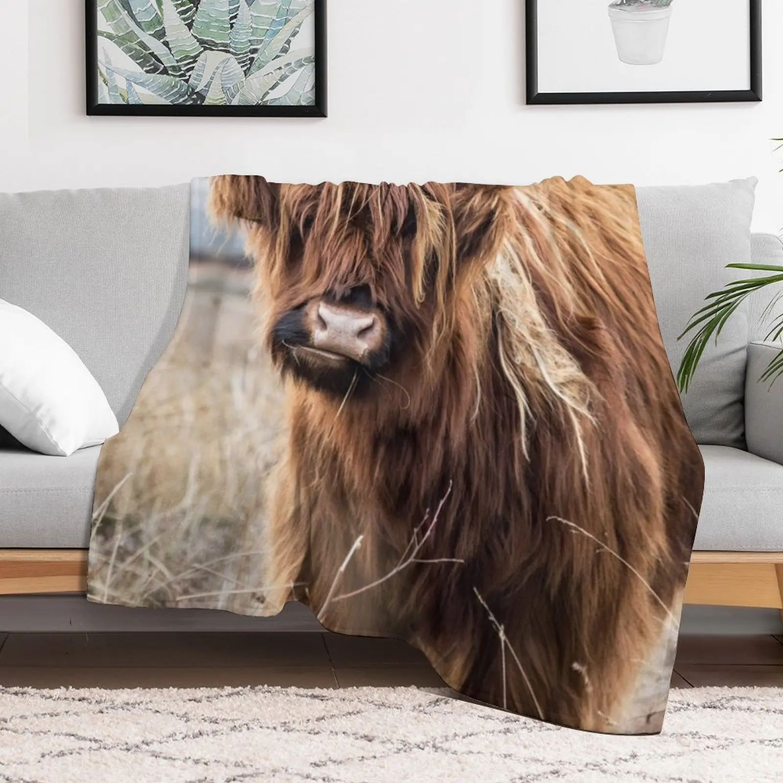 

Highland Cow Portrait Throw Blanket Quilt Custom Blankets For Bed Blankets