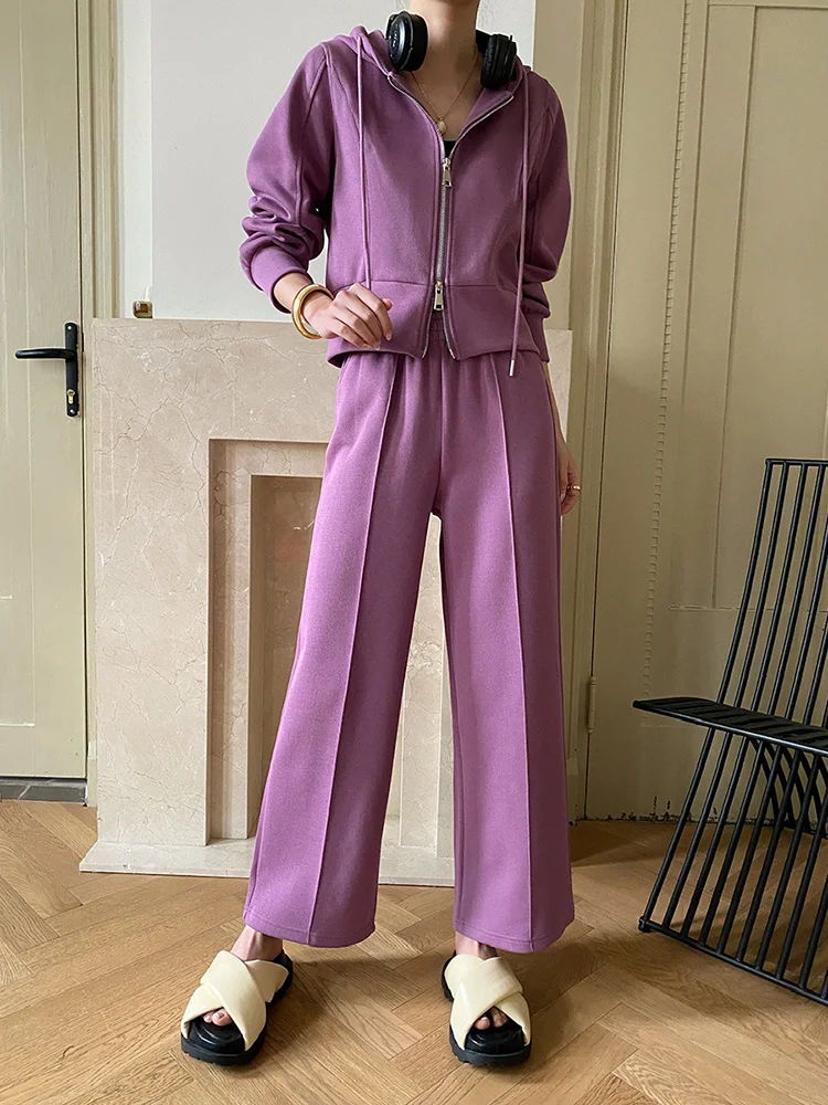

Elastic Waist Gray Wide Leg Pants Two Piece Suit New Hooded Long Sleeve Loose Fit Women Fashion Spring Autumn 2023 H349