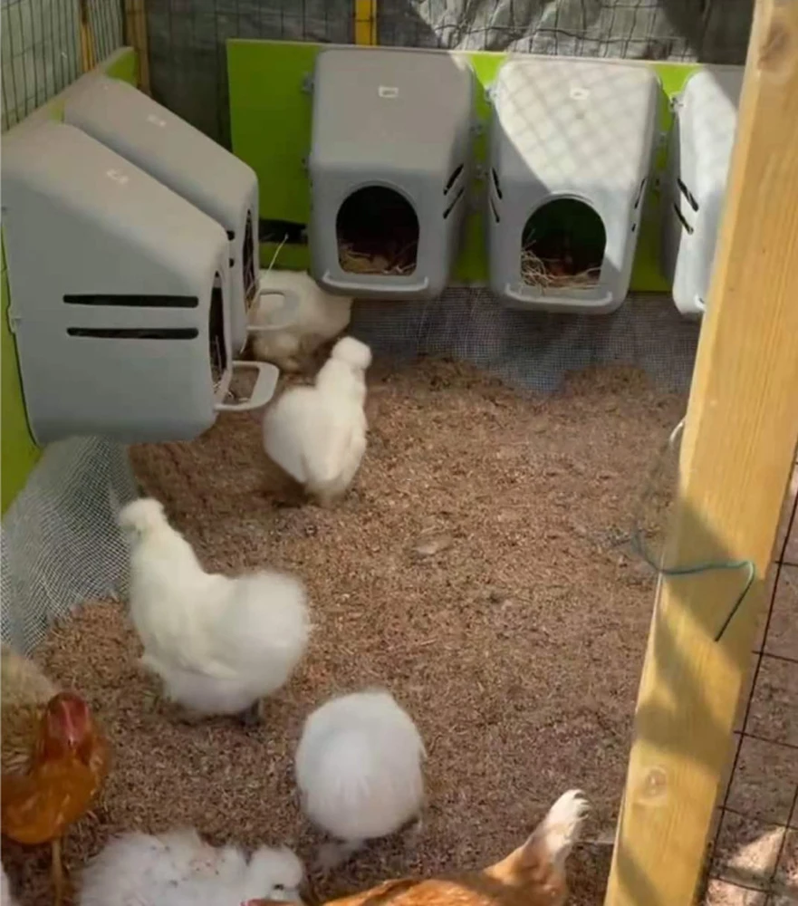 

Removable Plastic Chicken Coop Single Hole Egg Nest Box