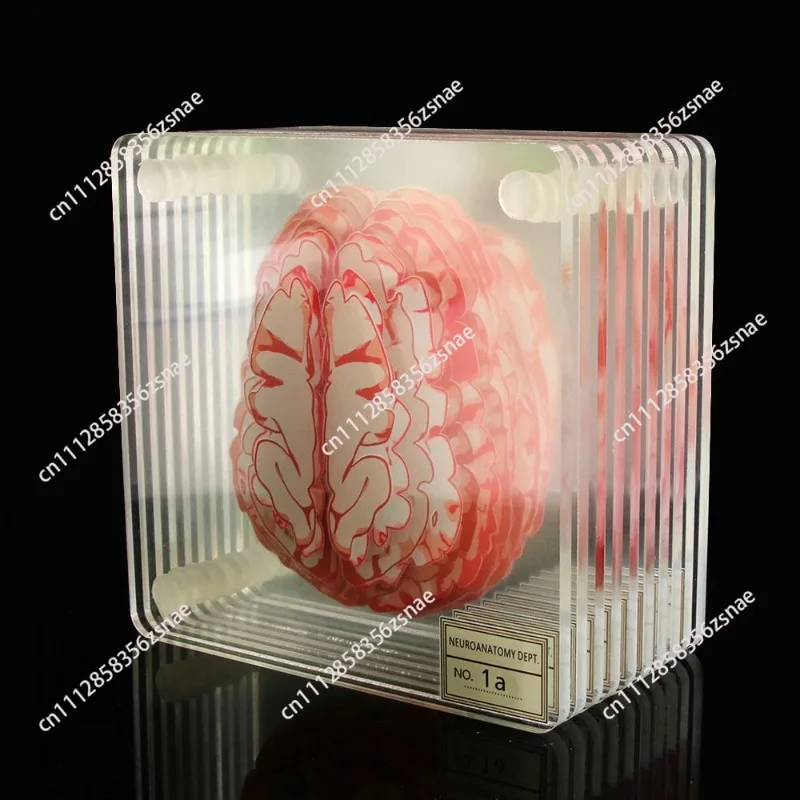 Halloween undead flower brain slice acrylic coaster table mat party gift