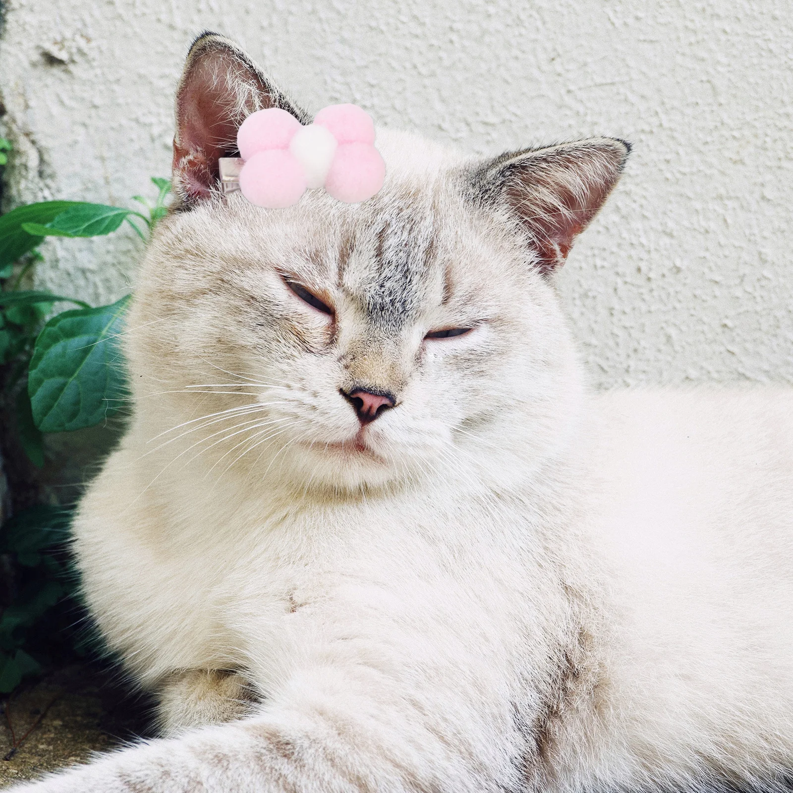 

10Pcs Pet Dog Hair Bow Clips Cute Bowknot Design for Small Pets Long Hair Easy on Off Comfortable Wear Daily Use