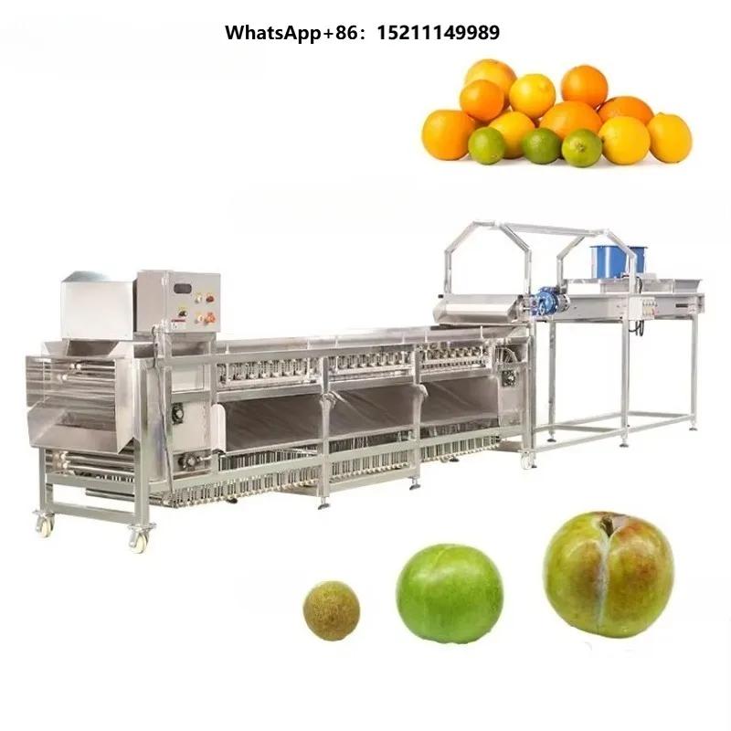 Vegetable Fruit Sorting Machine Avocado Orange Potato Onion Tomato Dates Grading Machine