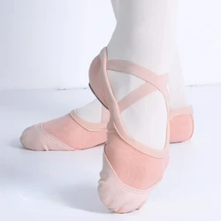 Elastic Mesh Ballet Shoes for Women Adult Soft Split Sole Girls Ballet Slippers High Quality Breathable Ballerina Dance Shoes