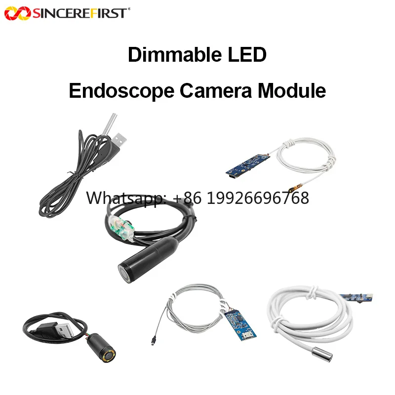 Dimmable LED Endoscope Camera Modules with 5MP 12MP 4K Autofocus Options for Variable-Distance Imaging Industry Medical