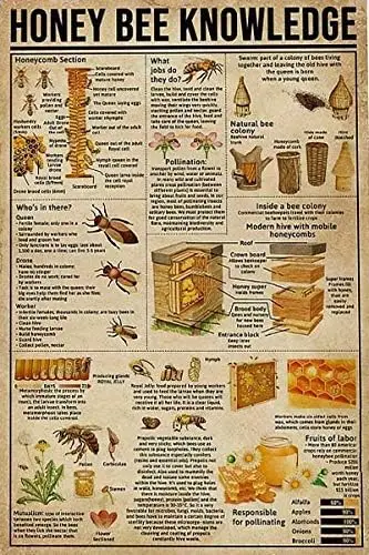 

Honey Bee Knowledge Vintage Metal Sign for Cafe Bar Bathroom Bar Room Wall Decoration Tin Sign 8x12 Inches