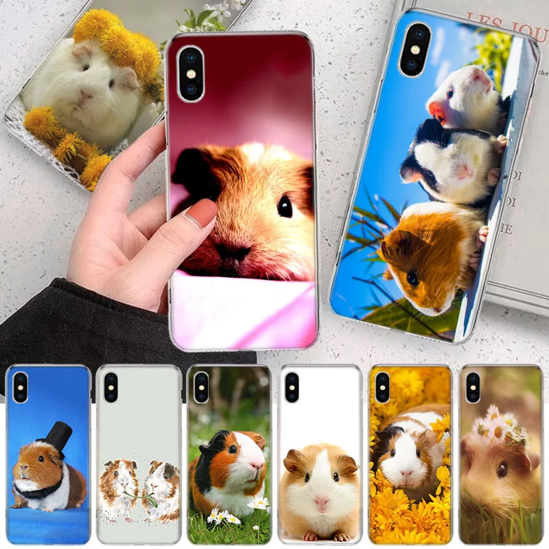 Guinea Pig Cute Animal Pet Blue Soft Phone Case For IPhone 11 13 16 Pro MAX 15 + 14 Plus 12 Mini X XS Apple 8 7 SE Fundas Coque 