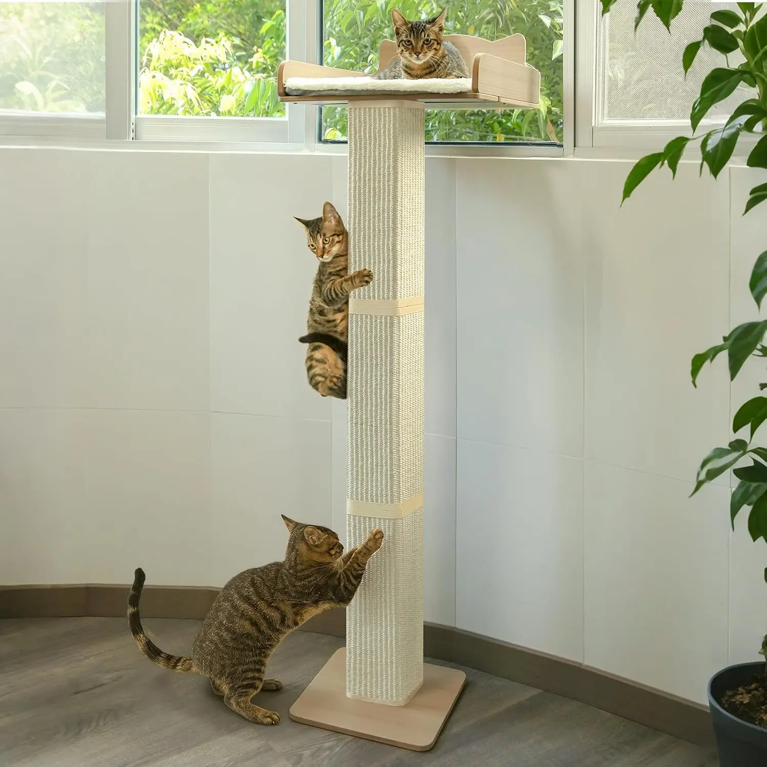 

Cat Window Perch with Thick Sisal Scratching Post, Adjustable Cat Hammock Bed for Windows, Fluffy Cushion Included