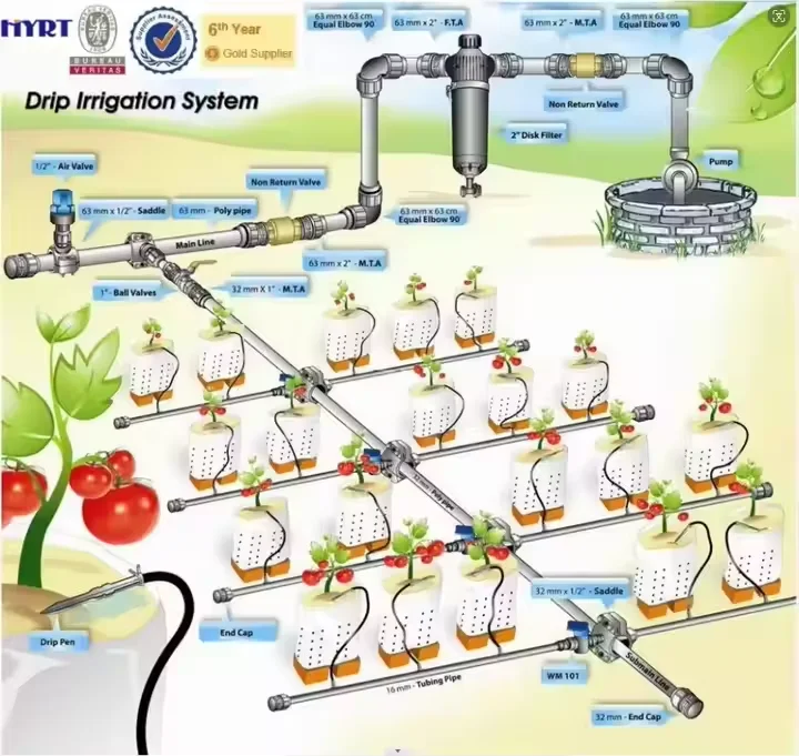 

5ha 10ha 20ha 50ha Corn Maize Drip Irrigation Rain Hose Irrigation System Design for Farm Agriculture Garden