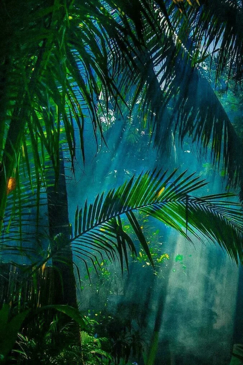 

500/1000/1200/2000 PCS Jigsaw Puzzles Eye-protecting Green Forest Scenery Family Activity Games for Gameroom Bedroom Gift
