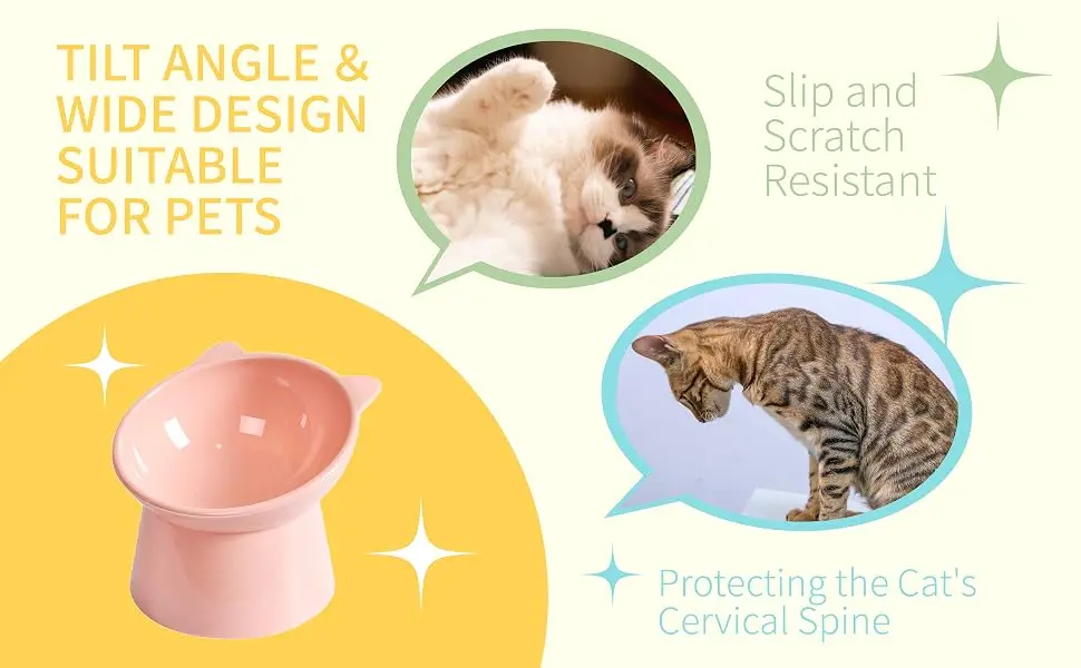 cat bowl 3