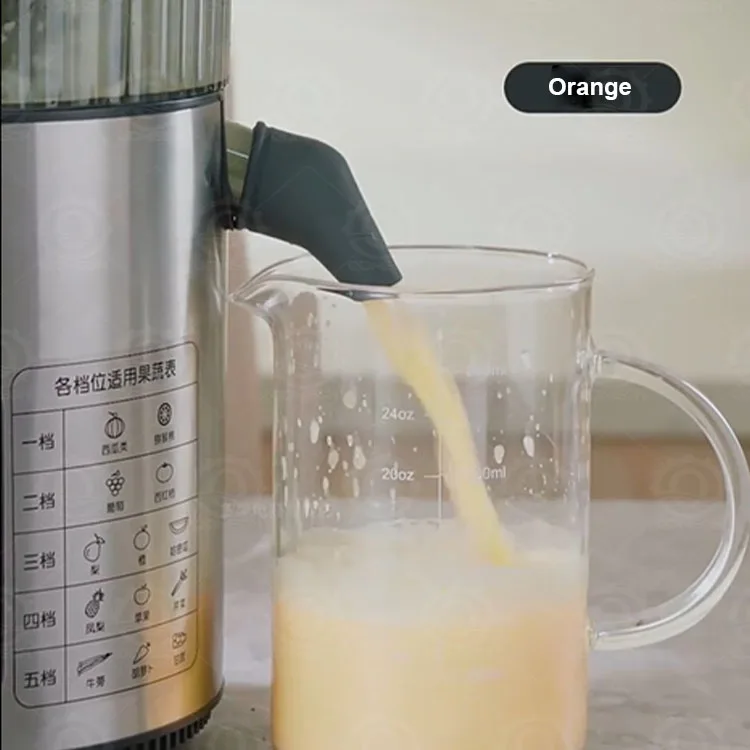 Multifunctional Fruit Juicer High Speed Stainless Steel Juicer Machine Small Automatic Juicer Machine