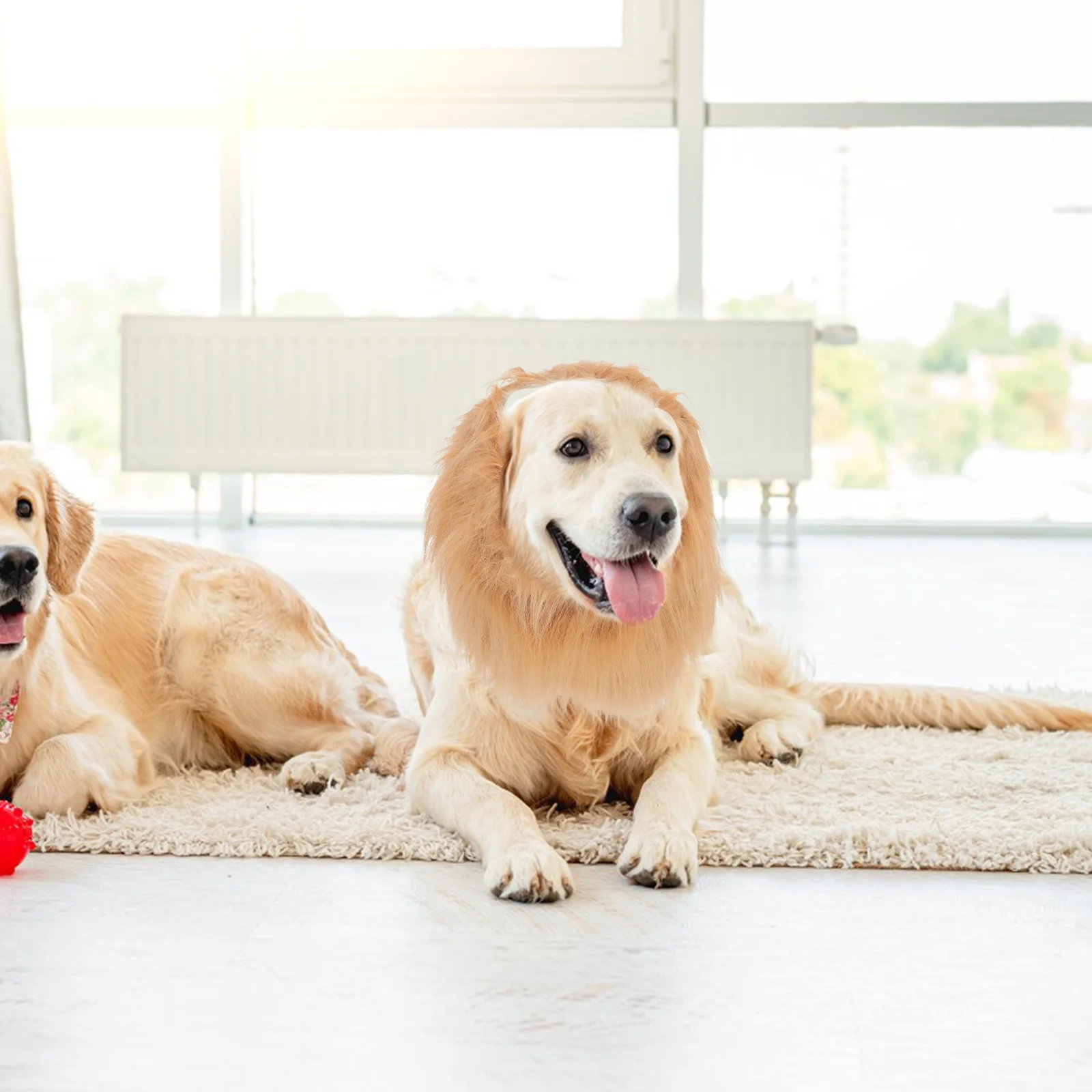 

Pet Scarf Lion Mane Brown Dog Collar Adjustable Neckband For Large Small Dogs Cool Party Accessory Pet Dog Wigs Mane Hair