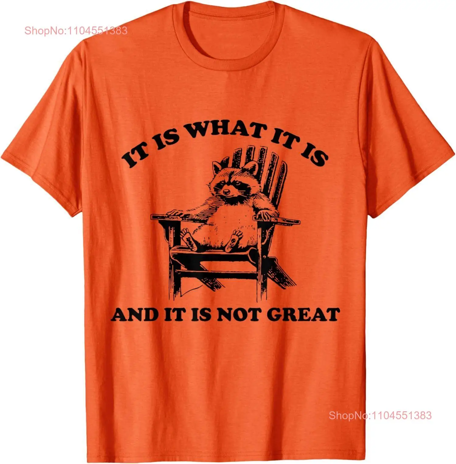 

It Is What It Is And It Is Not Great Raccoon Unisex T-Shirt