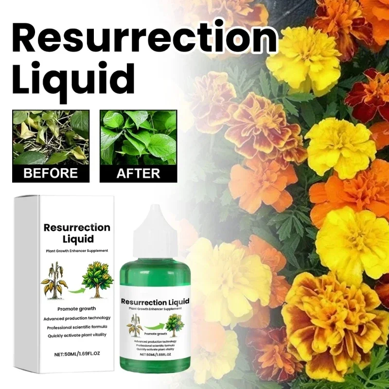 

Plant Resurrection Liquid Fruit Vegetable Fertilizers Fast Glowing Indoor Garden Hydroponics Plant Nutrients Solution 50ml