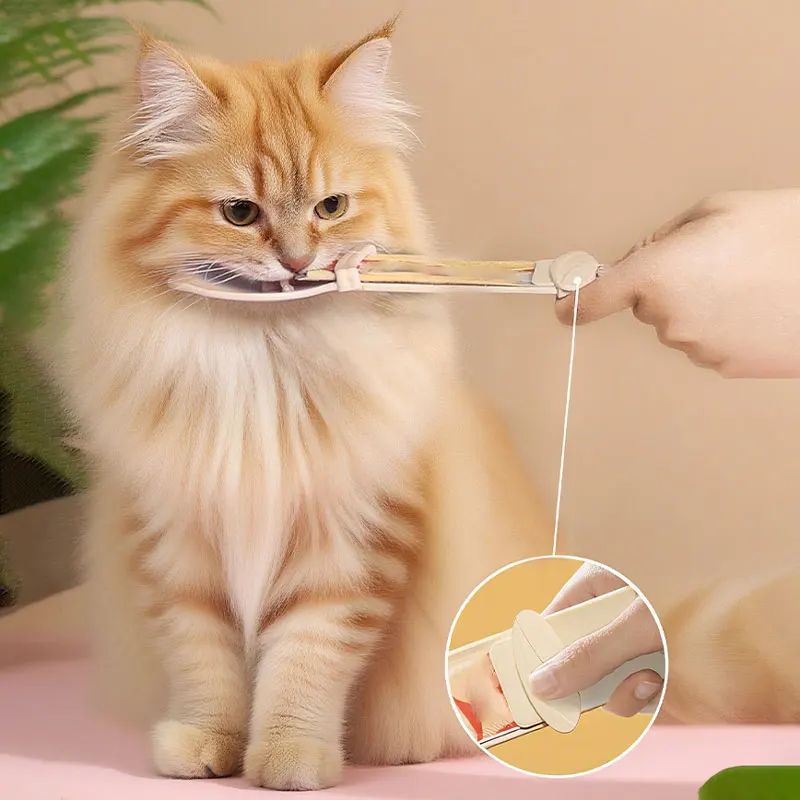 Katzenfutterspender mit Quetschlöffel für Flüssige Snacks, Leckbare Nassfutter-Leckereien und Nassfutter für Katzen, Haustierzubehör – Detail 2