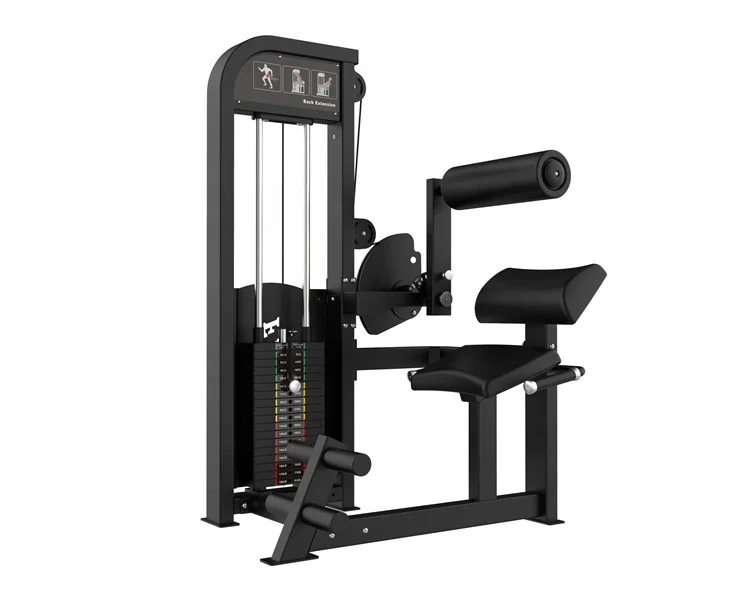 

Factory Price Wholesale Strength Free Weight Commercial Grade Gym Equipment Back Extension STG06