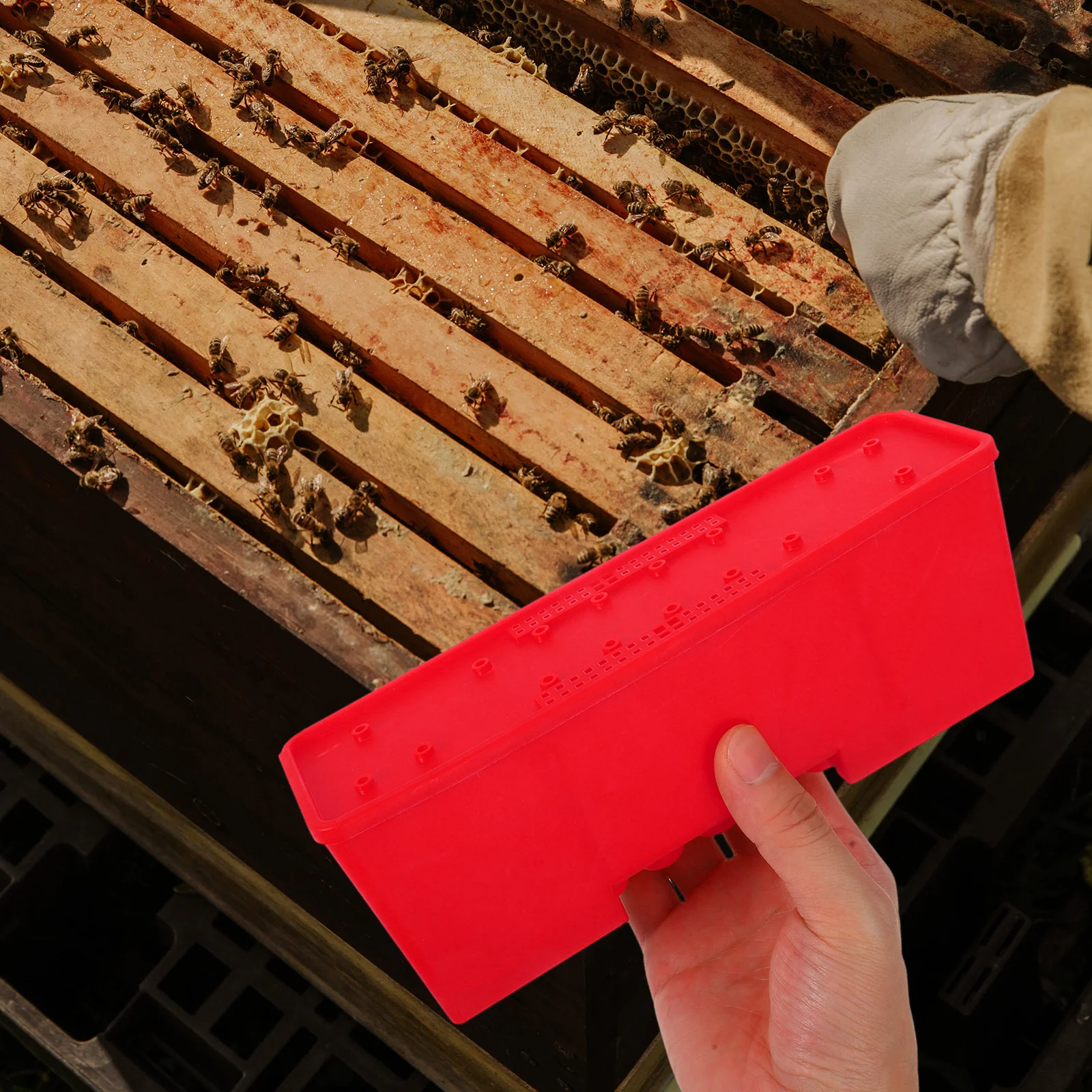 

1Set Bee Queen Cage Transport Box Transparent Beekeeping Equipment Queen Rearing Kit Safe Bee Handling Transfer Box