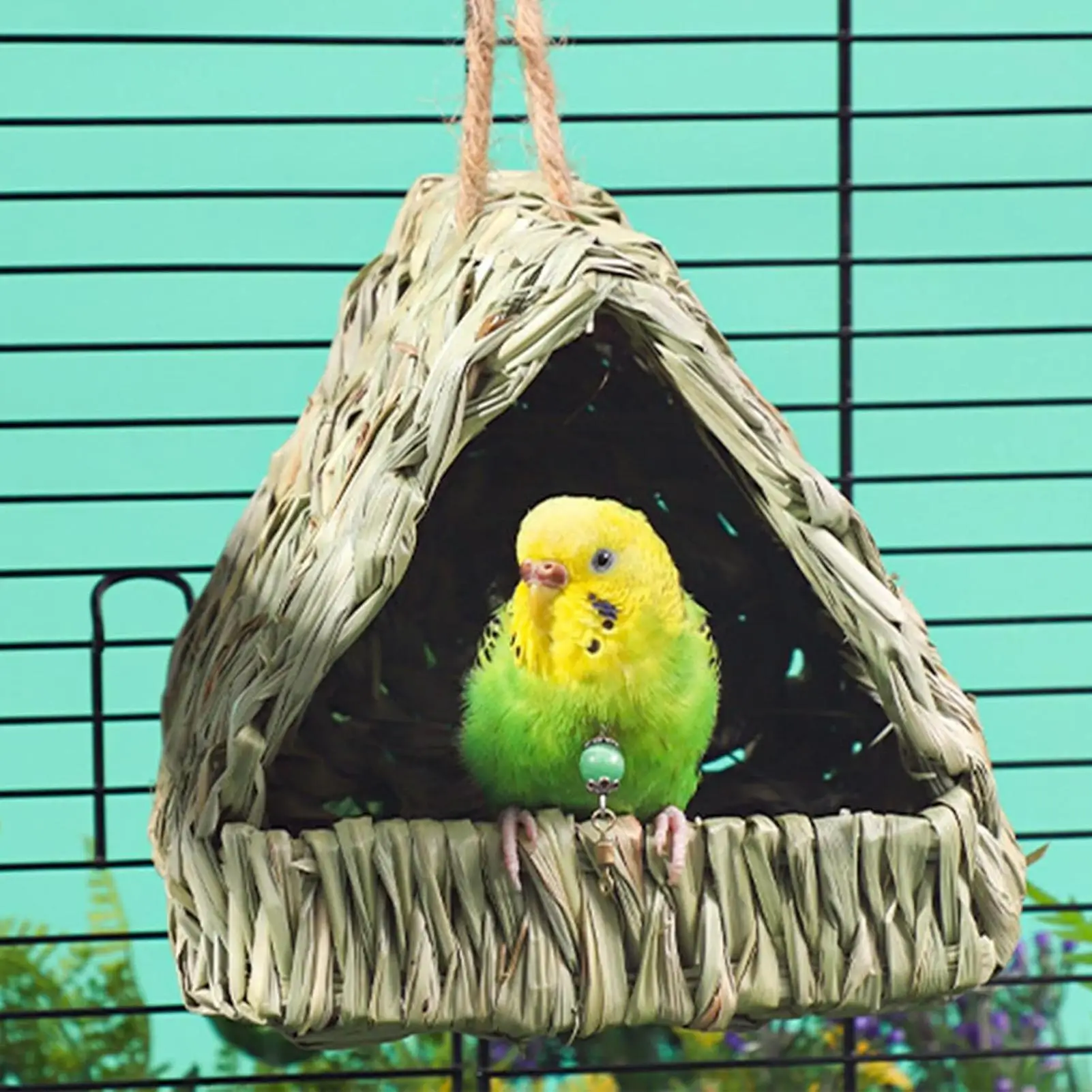 Hummingbird House W… - image