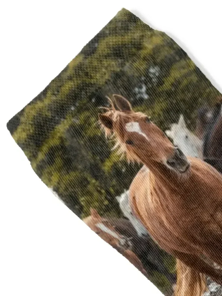 White and brown fairy tale horses, Lusitano breed, running free outdoors with herd. Socks bright garter Socks For Men Women's