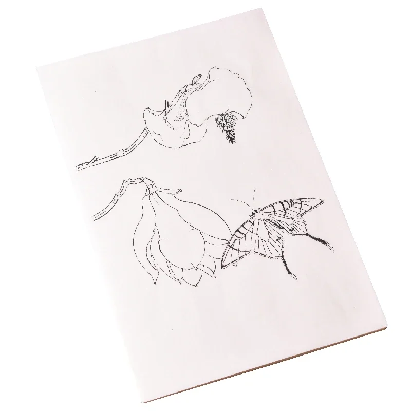 

Line Drawing Butterfly Tracing Paper Xuan Paper Butterfly Painting Drawing Copybooks Watercolor Chinese Painting Manuscript