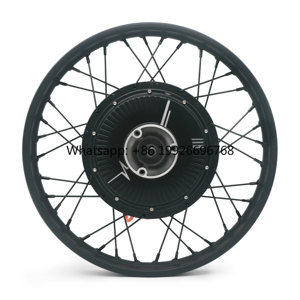 

High Quality Brushless 17 Inch 260 Rim 60v 48v 36v IP67 Permanent Magnet Spoke Rear Wheel Hub Motor for Electric Motorcycles
