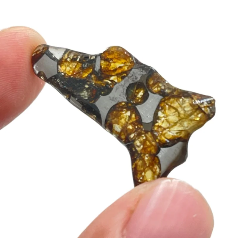 Natural Seymchan Pallasite Meteorite Irregular Slice Hand Polished Olivine Meteorite Specimen Collector Gift