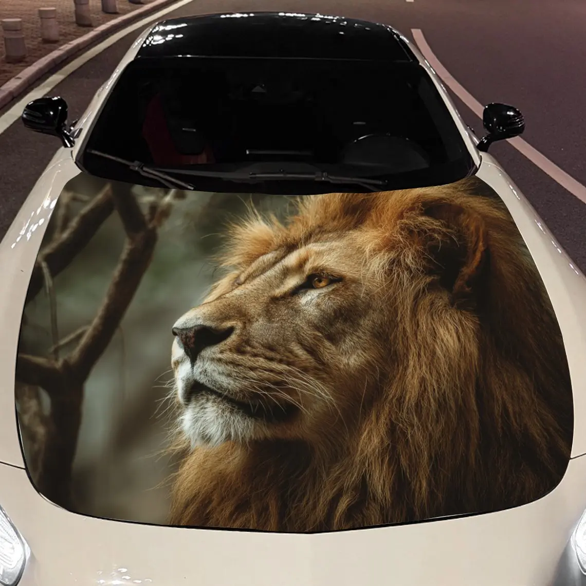 Calcomanías de coche Un león que presenta la dignidad atemporal y la profundidad sutil en una escena natural y discreta, pegatina para capó de coche, autoimpermeable