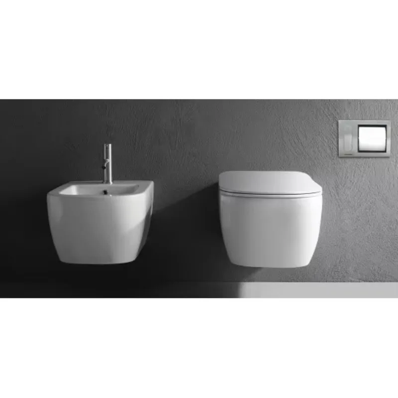 현대식 벽걸이 비데는 욕실 및 호텔 세로 분사 디자인의 화장실 청소에 사용하기 쉽습니다.