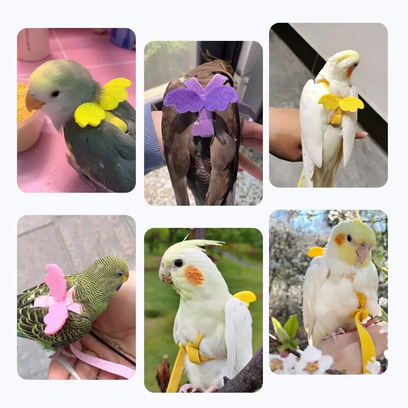 Bird Harness Adjustable Parrot Leash Harness Training Rope Flying Band Bird Rope Outdoor Training Long Rope Belt Walking Lead