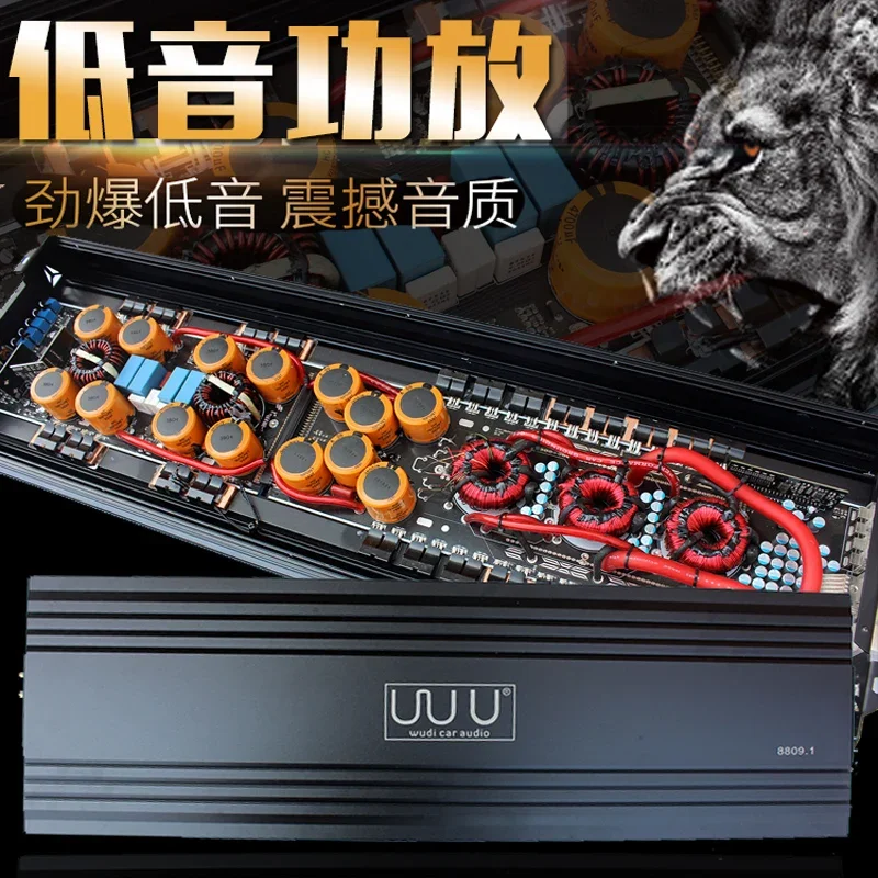 Ultra High Power Digital Bass Amplifier with Dual Voice Coil Passive Subwoofer Amplifier Tools