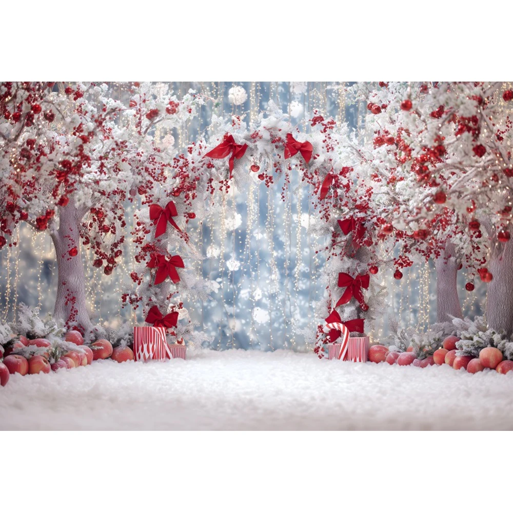 Winter Christmas Backdrop for Photography Arch Wreath Holly Leaves Candy Cane Xmas Kids Portrait Photo Background Photo Studio