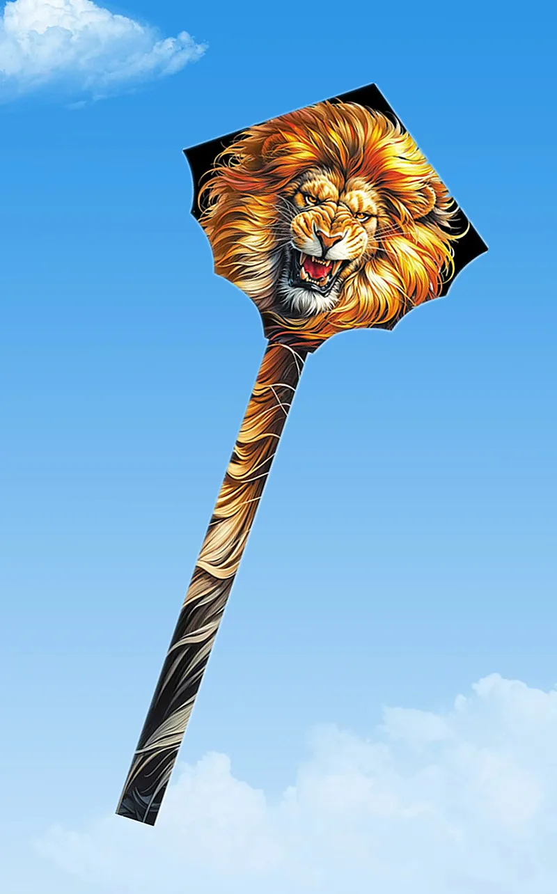 동물 연, 야외 장난감, 어린이 연 날리기, 낙하산, 나무 연, 풍선 수영장, 드론, 자동차 모양 연줄 	 바람 놀이