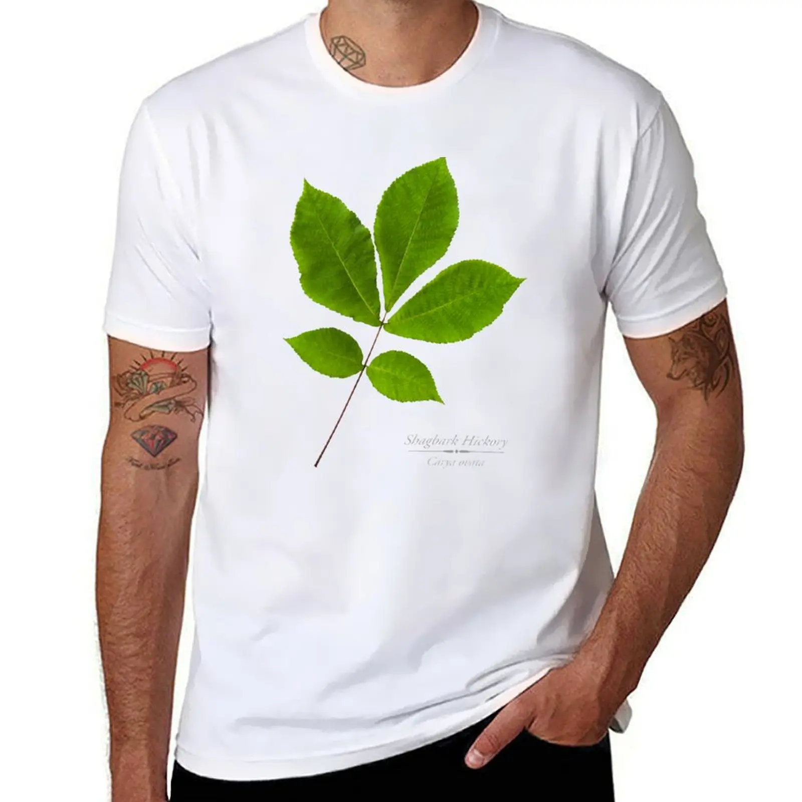 

Shagbark Hickory Tree T-Shirt Comfortable Work Wear Tee