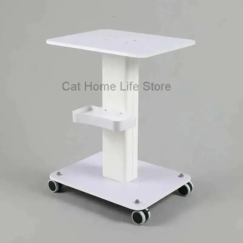

Cart Multifunctional Medical Trolley Organizer Mobile Storage With Wheel Home Accessory Scarritos Organizadores Salon Furniture