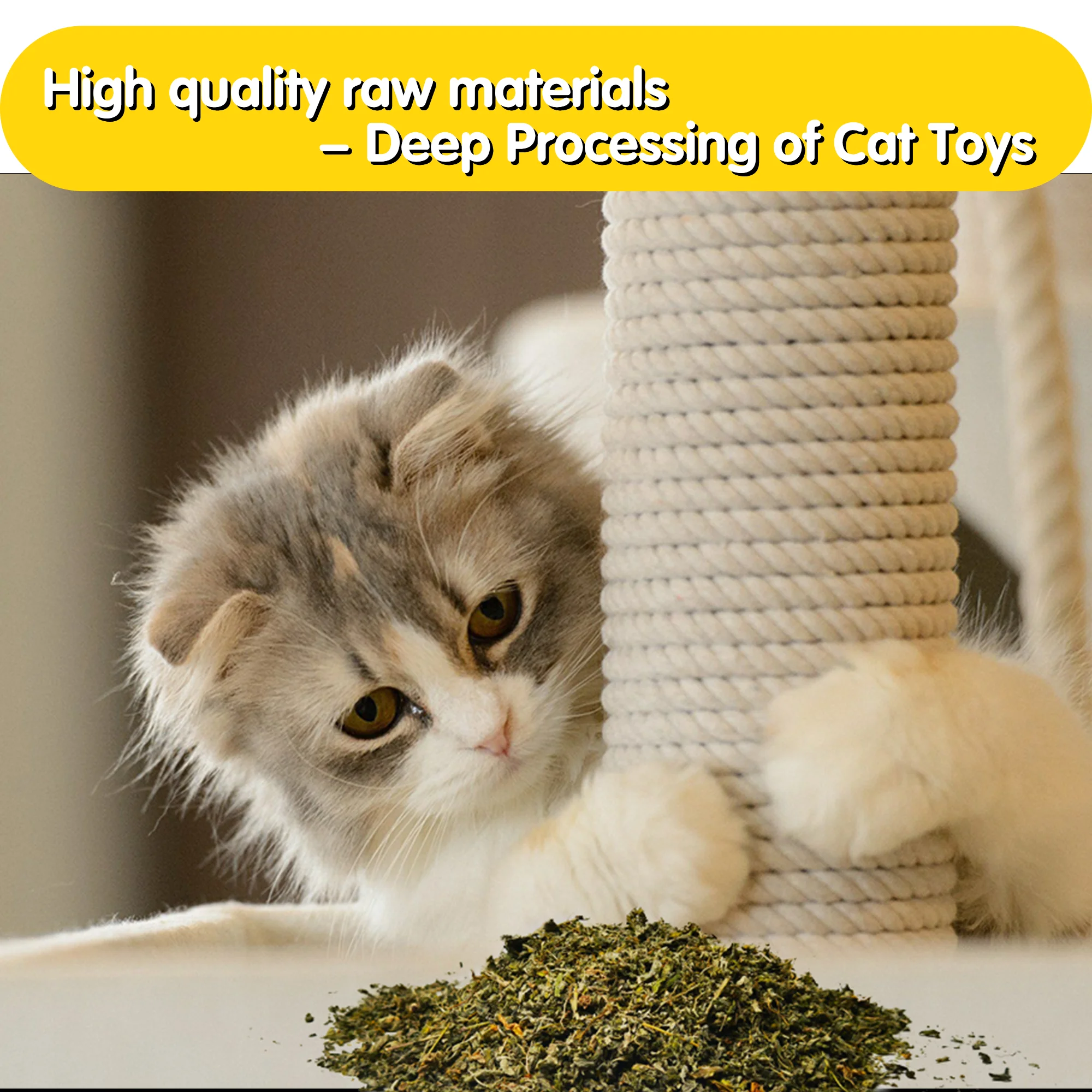 Oitabi 1000g Pet Natural Catnip for Cats, Premium Catnip Leaf - Potent Catnip Refill for Mice, Fish, Banana & Kicker Toys