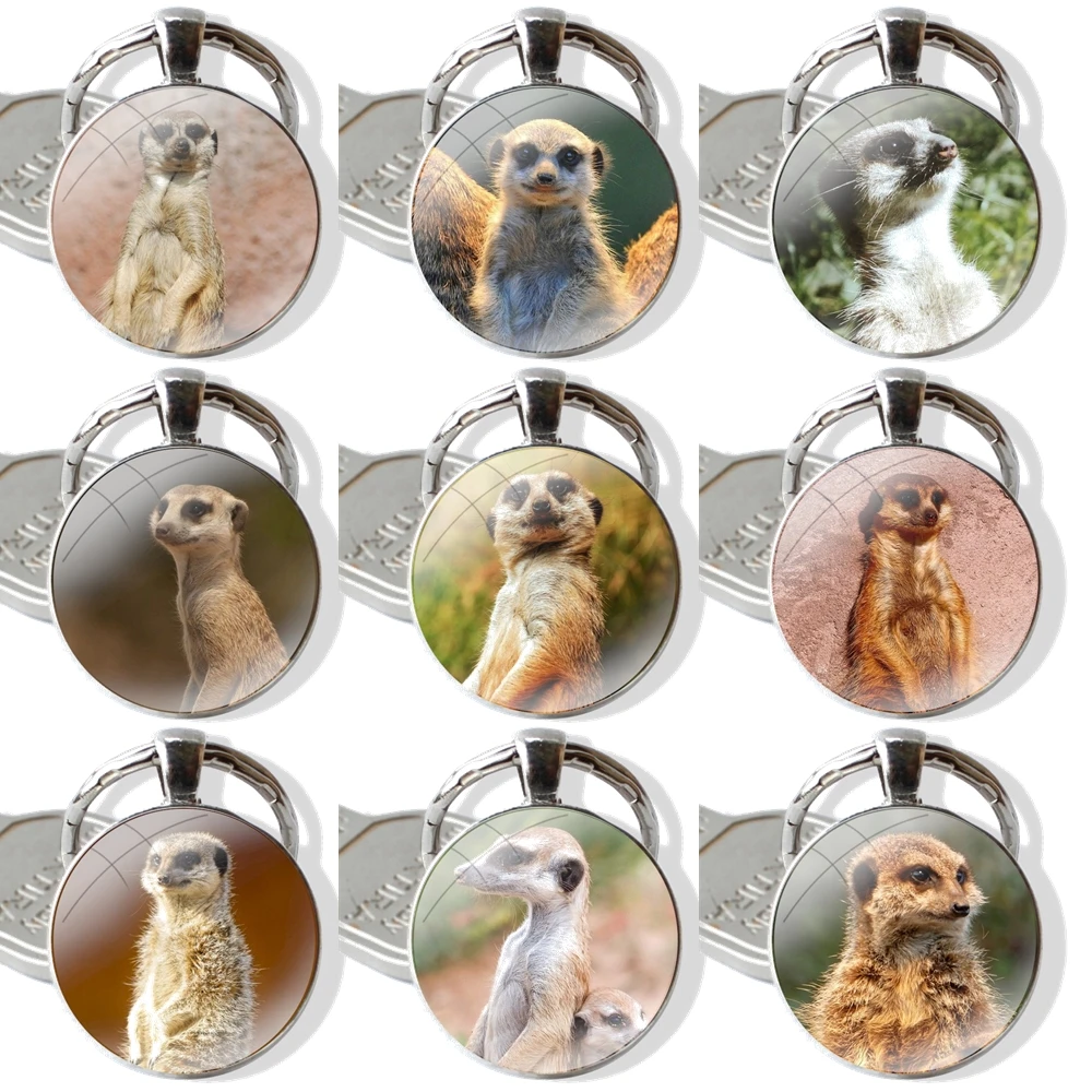 Glazen Cabochon Sleutelhanger Auto Sleutelhanger Bedels Sleutelhangers Geschenken Schattige Baby Meerkat Accessoires Telefoonhoesjes Hoesjes Hoesjes