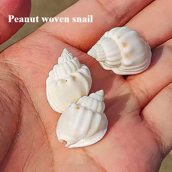 

Новая декоративная раковина улитки из натуральной арахисовой раковины для домашнего декора, оформления столов, аквариумов и ландшафтного дизайна