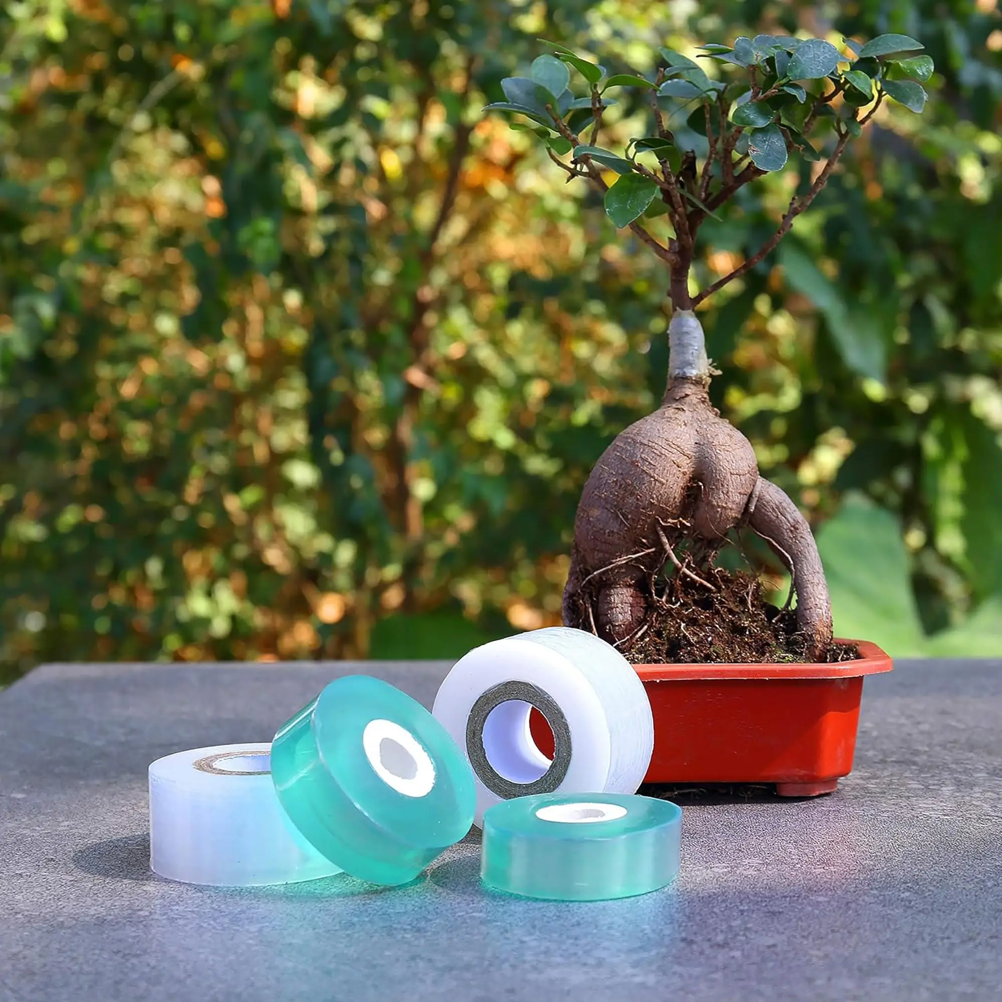 Fita de Enxertia Biodegradável - Gardening Tools And Uses avaliação e preço