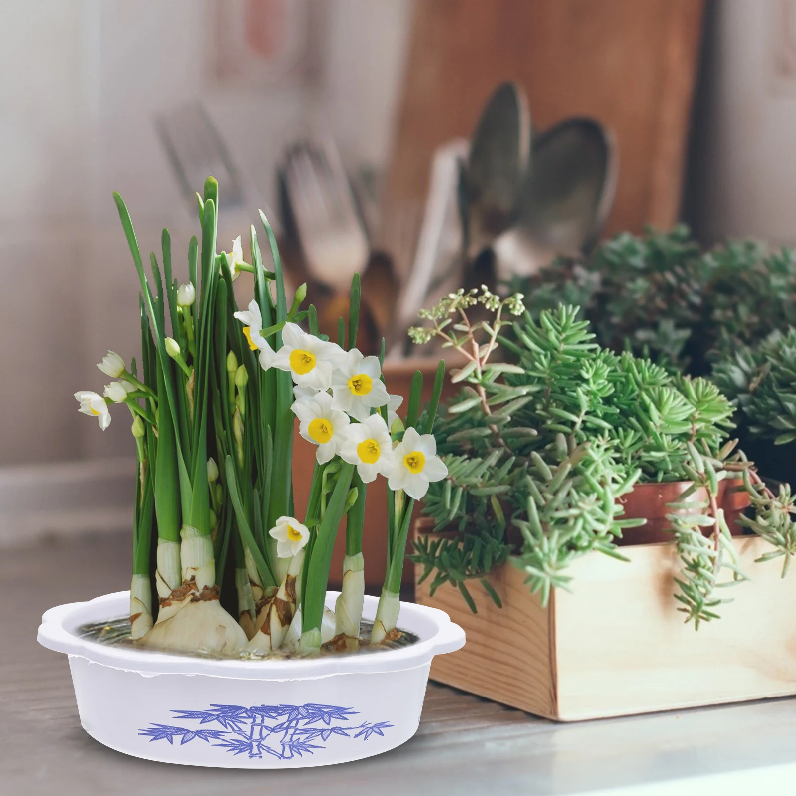 

10 Pcs Small Containers Narcissus Bowl Lotus Pot Flower Home Flowerpot Plastic Water Lily Planting