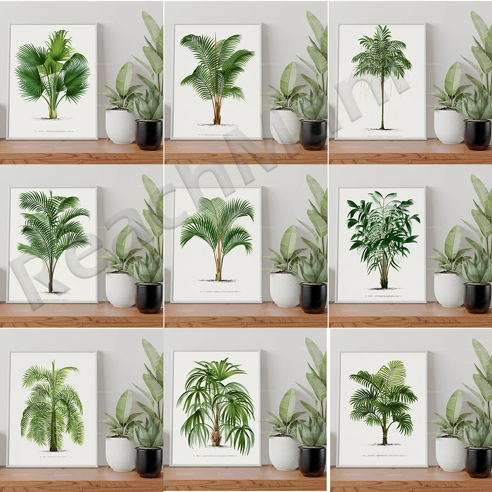 

Vintage palm tree, slender trunk and broadleaf palm tree plant palm leaf print canvas painting scandinavian wall picture decor