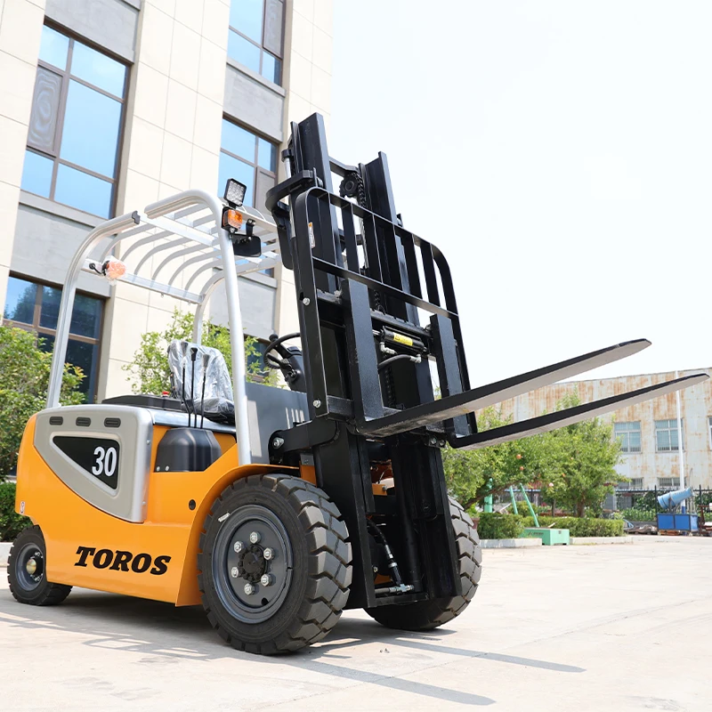 Рисунок 3 - Быстрая доставка Электрический