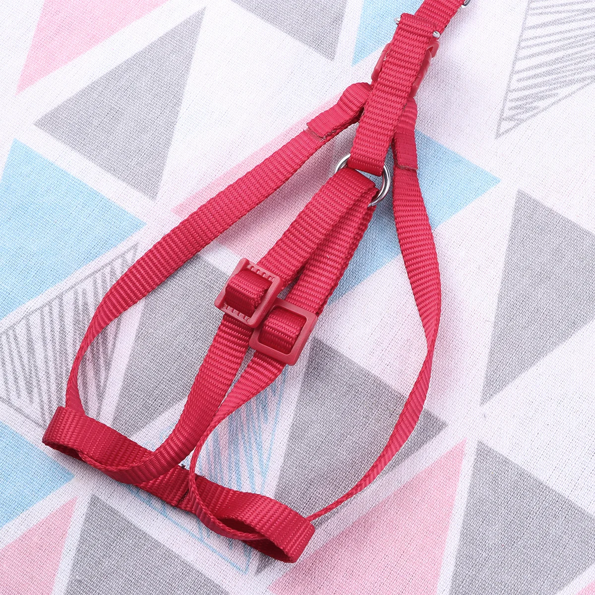 

Practical Parrot Leash Adjustable Harness Walking Collars Durable Material Lightweight Elastic Cord Suitable Birds Outdoor