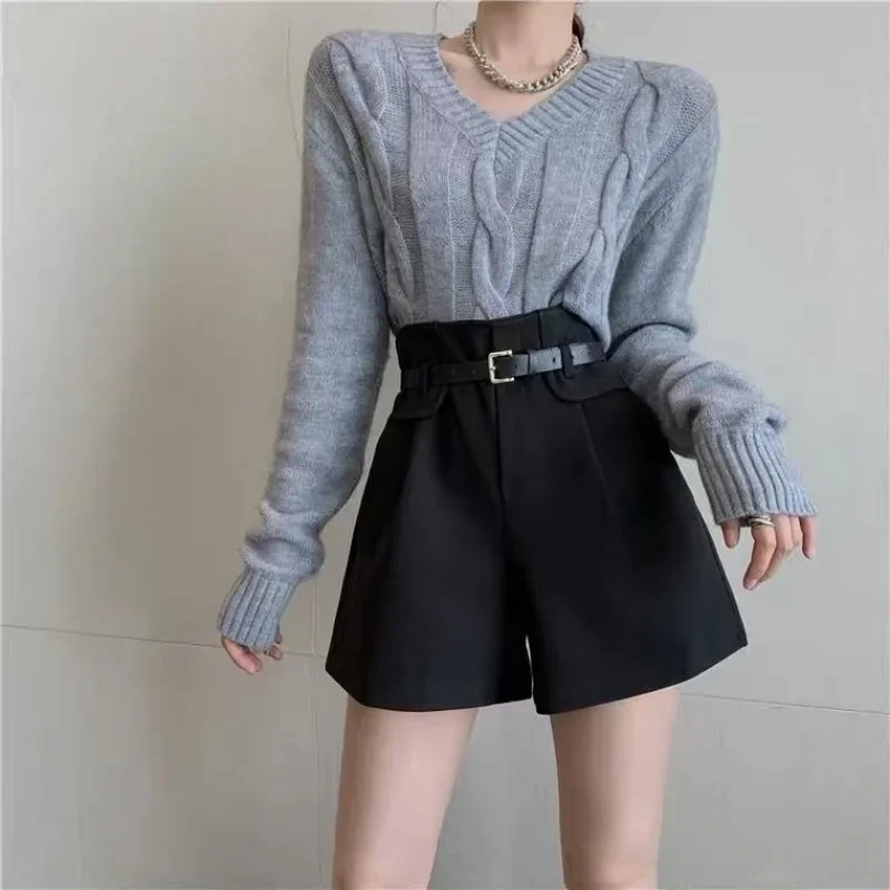 Wide Leg Autumn Shorts Women Loose High Waist Office Lady Basic Pure Graceful Chic Bottoms Designed Cool Solid Harajuku Temper