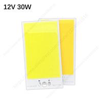 Square 30W COB LED 12V High Brightness LED Chip Matrix Module Suitable For DIY Car Work And Home COB Chips