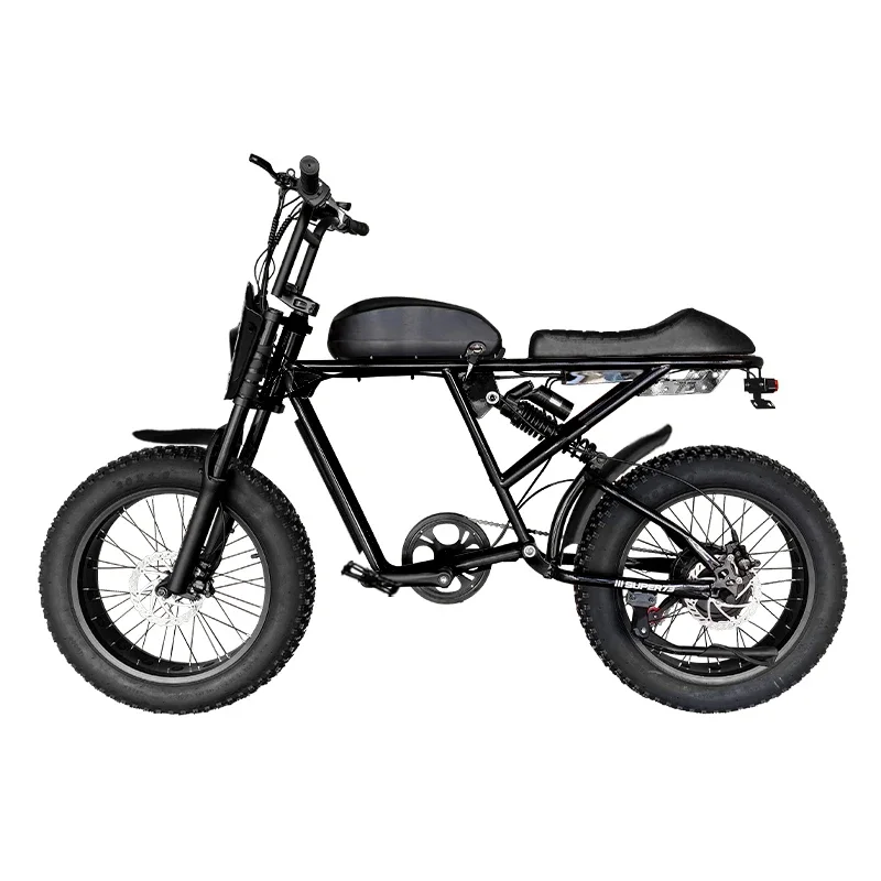 Low Cost Removable Battery Electric Bike 20 Inches Electric Bike Electric Retro Bicycle with Suspension Fork